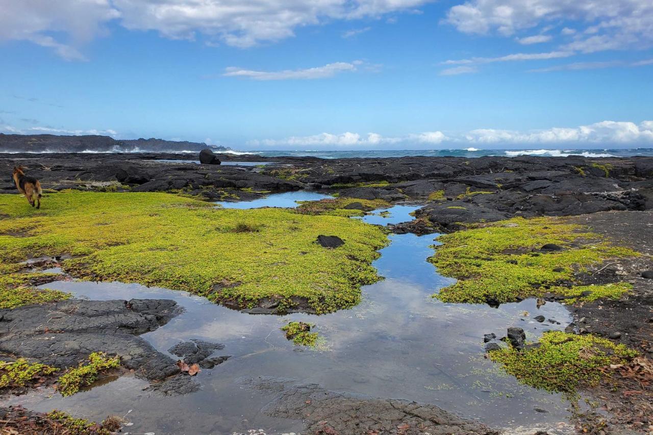 The Aloha Green House Retreat With Ocean Views! Naalehu Exterior photo