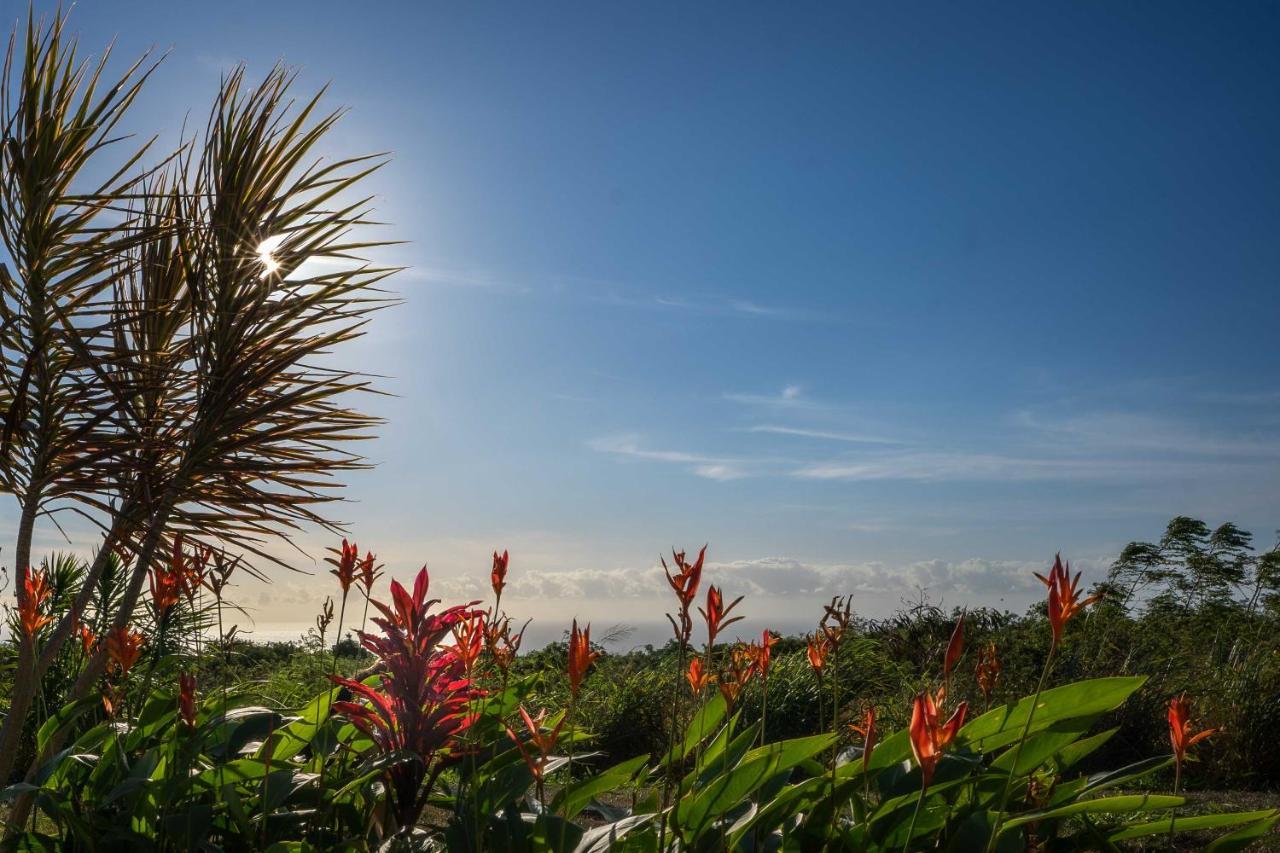 The Aloha Green House Retreat With Ocean Views! Naalehu Exterior photo
